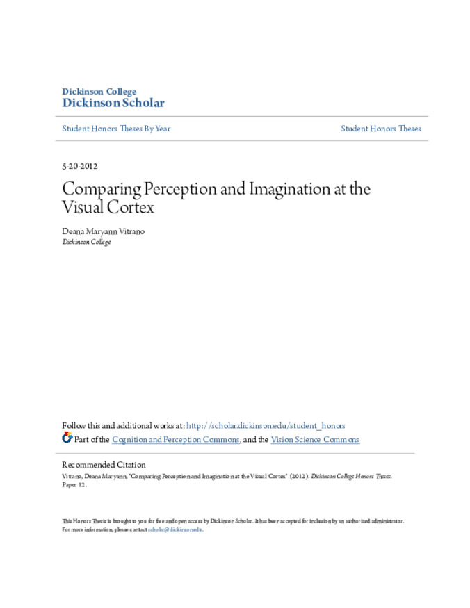 Comparing Perception and Imagination at the Visual Cortex Thumbnail