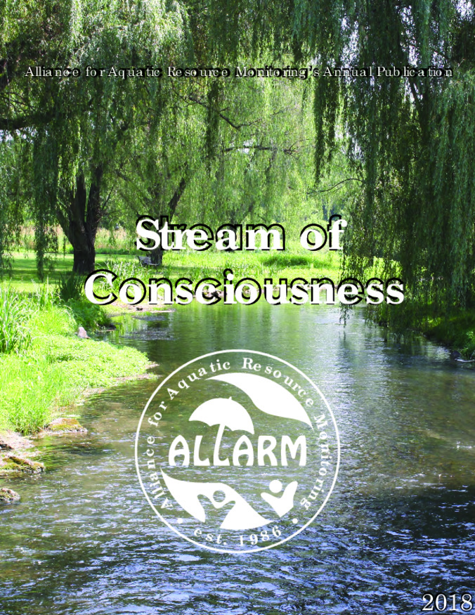 Stream of Consciousness (2018) miniatura