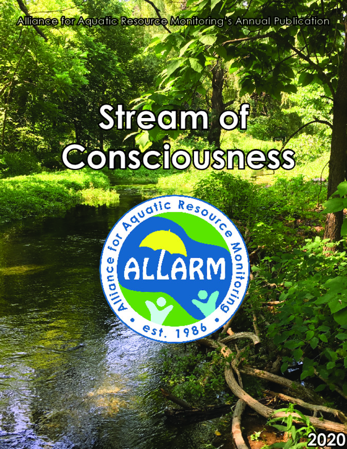 Stream of Consciousness (2020) Miniature