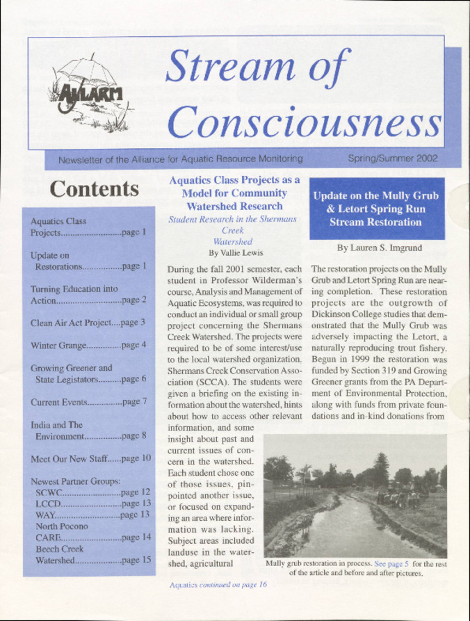 Stream of Consciousness (2002) miniatura