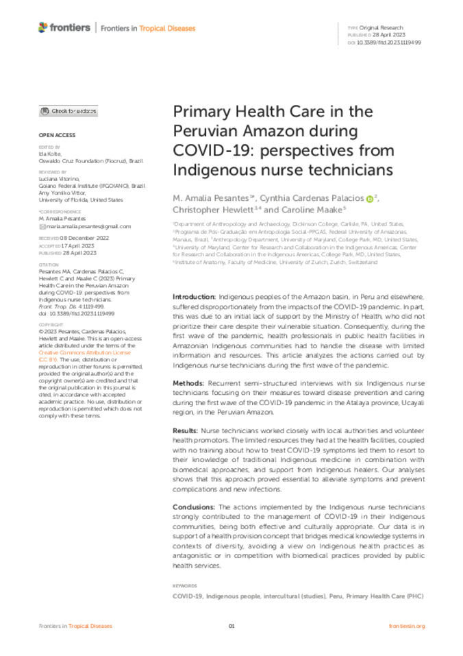 Primary Health Care in the Peruvian Amazon during COVID-19: Perspectives from Indigenous Nurse Technicians Thumbnail