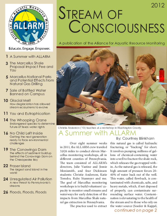 Stream of Consciousness (2012) Thumbnail